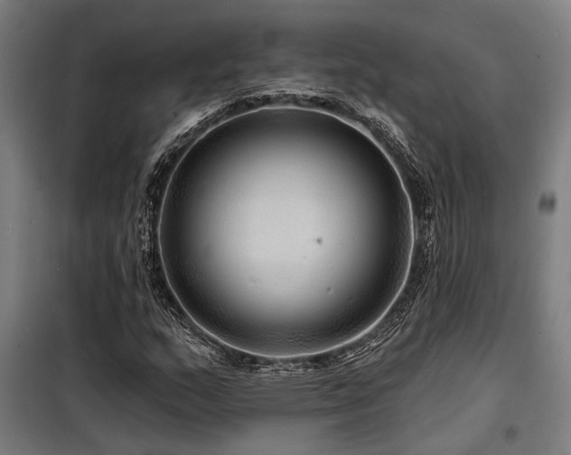 X0000098171159200804241149