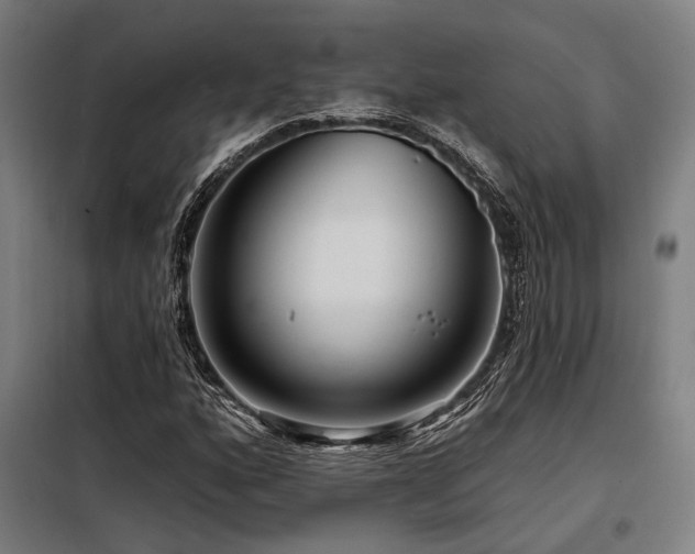 X0000098171160200804241149