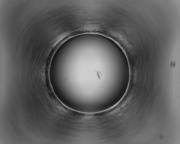 X0000098171162200804241149