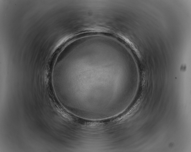 X0000098171163200804241149