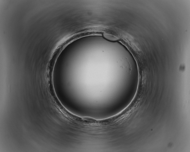 X0000098171164200804241149