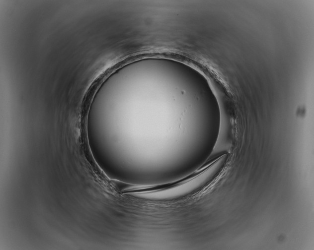 X0000098171165200804241149