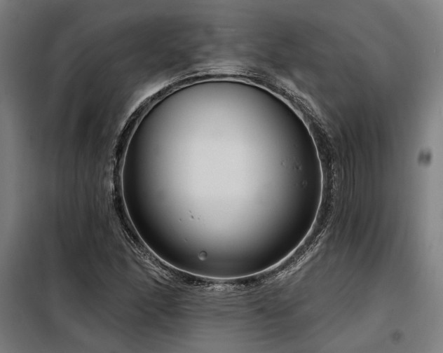 X0000098171166200804241149