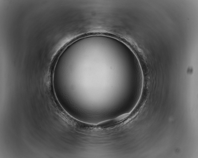 X0000098171167200804241149