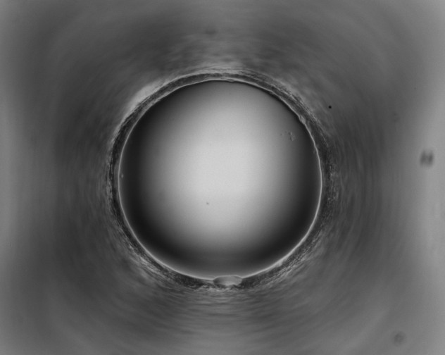 X0000098171168200804241149
