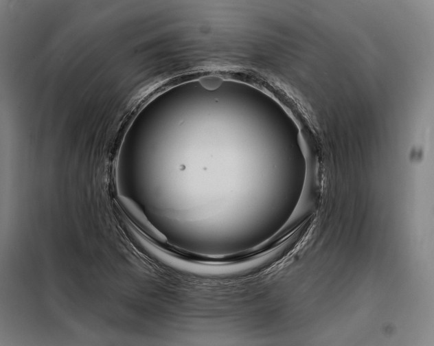 X0000098171169200804241149