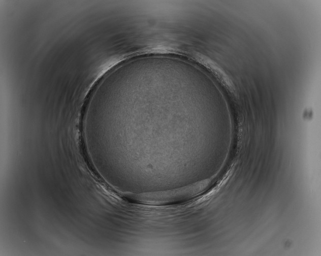 X0000098171170200804241149