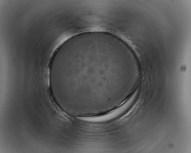 X0000098171171200804241149
