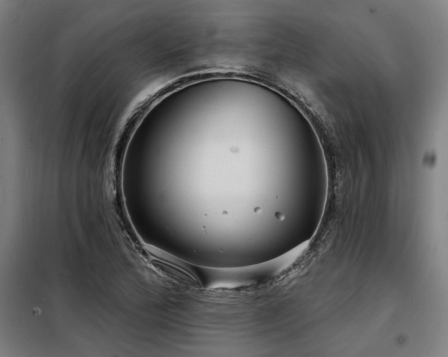 X0000098171172200804241149