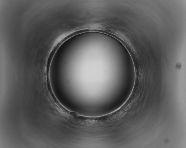 X0000098171176200804241149