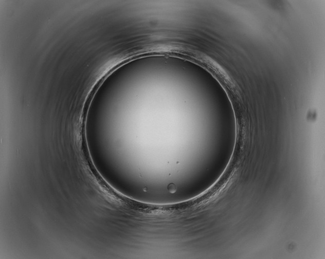 X0000098171178200804241149
