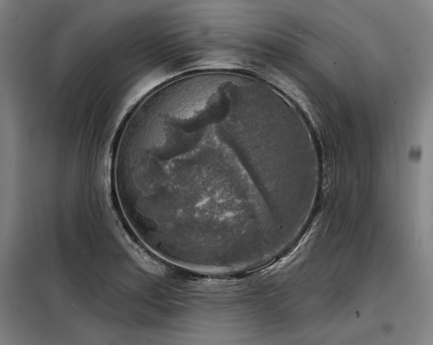 X0000098171179200804241149