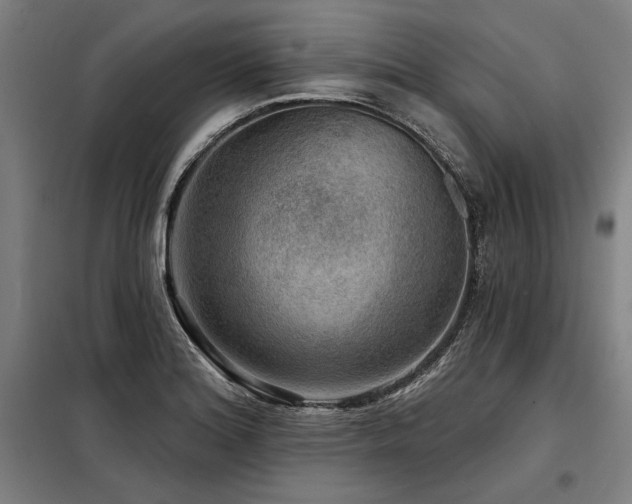 X0000098171180200804241149