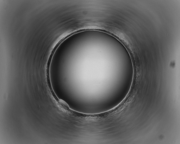 X0000098171181200804241149