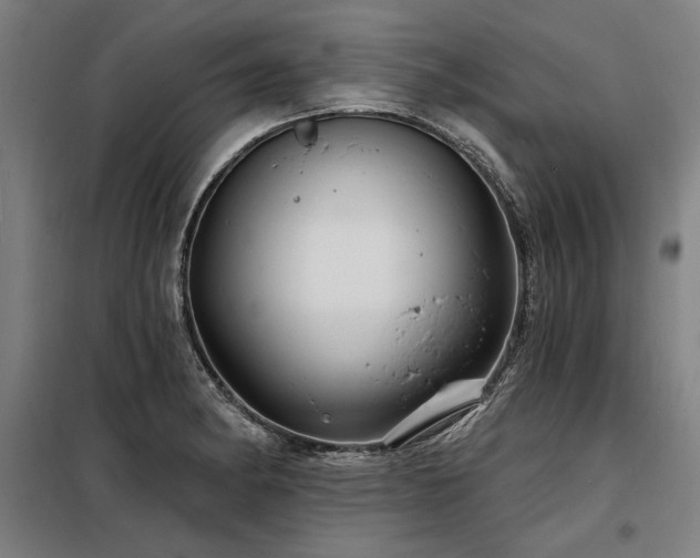 X0000098171182200804241149