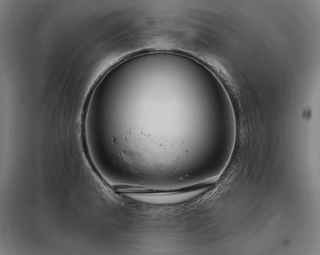 X0000098171183200804241149