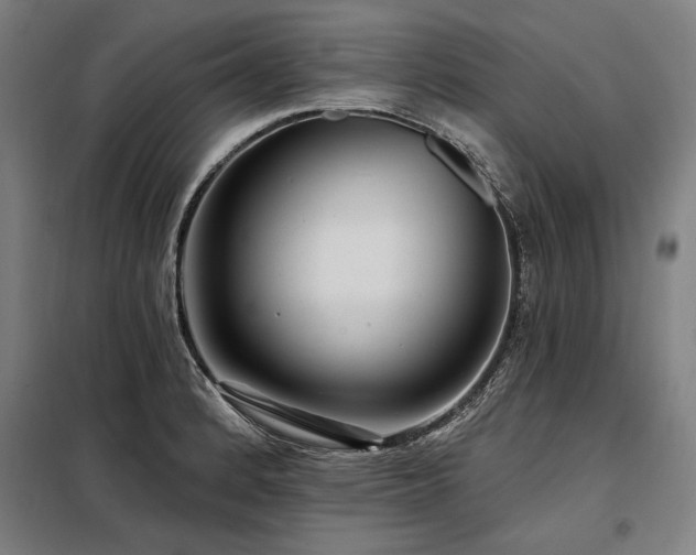 X0000098171184200804241149