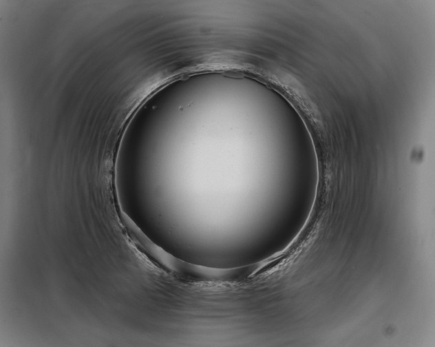 X0000098171185200804241149
