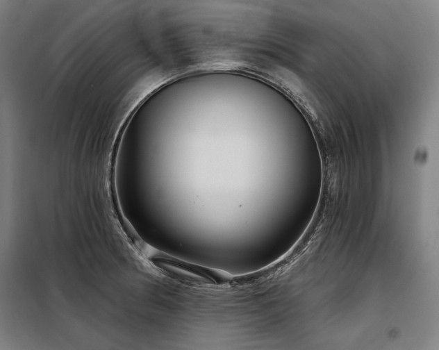 X0000098171186200804241149