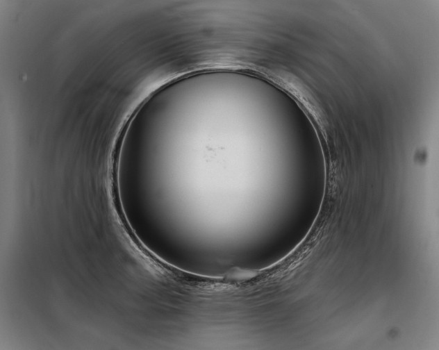X0000098171187200804241149