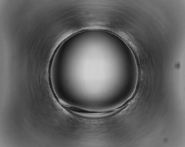X0000098171189200804241149