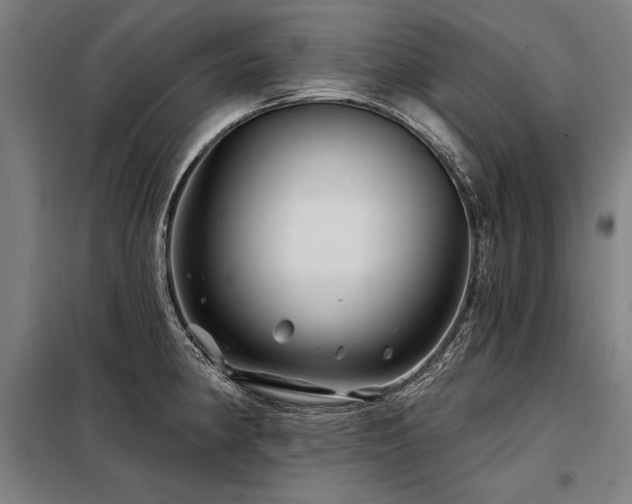 X0000098171190200804241149