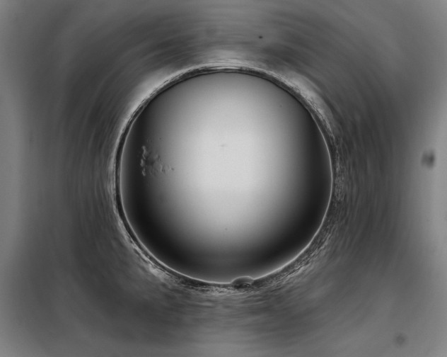X0000098171191200804241149