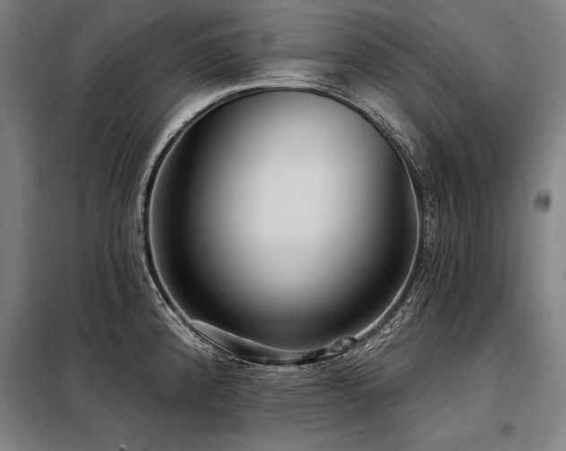 X0000098171192200804241148