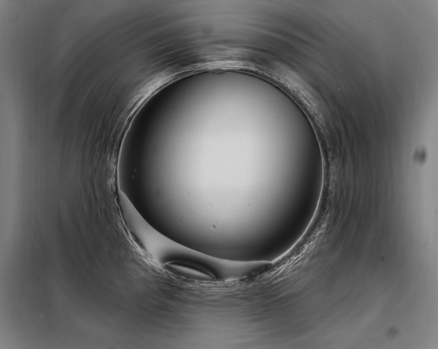X0000098171193200804241148
