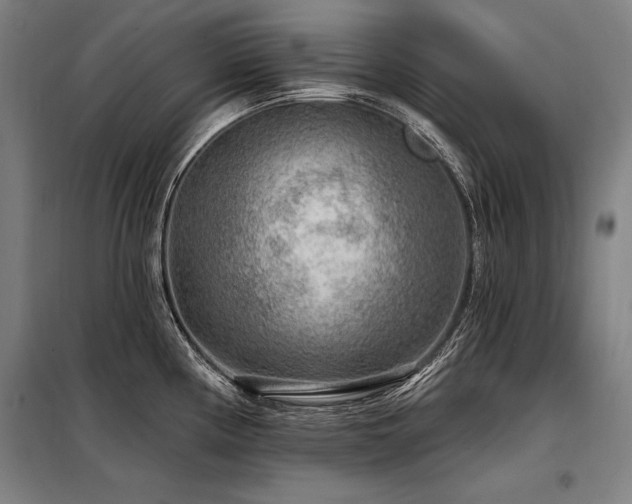 X0000098171194200804241148