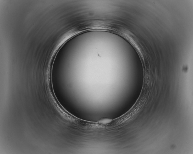 X0000098171195200804241148