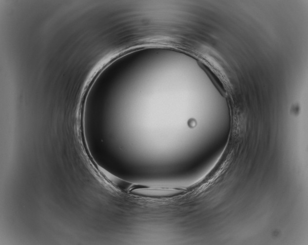 X0000098171196200804241148