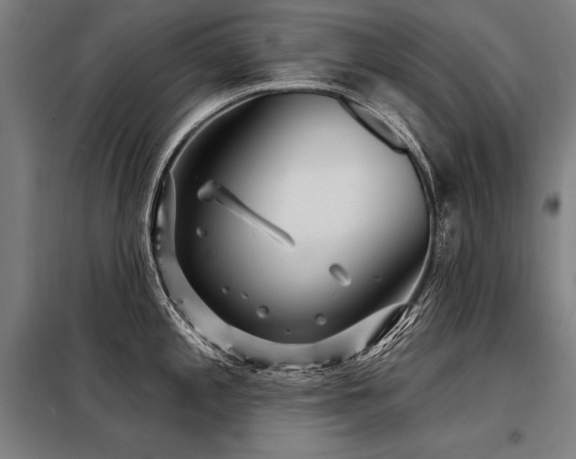 X0000098171197200804241148