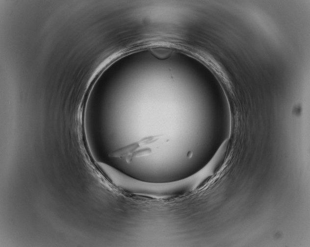 X0000098171198200804241148
