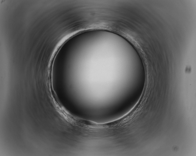 X0000098171200200804241148