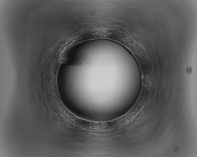 X0000098171201200804241148