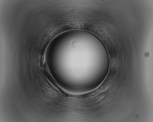 X0000098171202200804241148