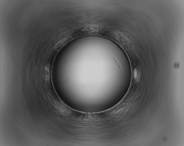 X0000098171203200804241148