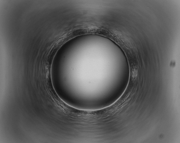 X0000098171204200804241148