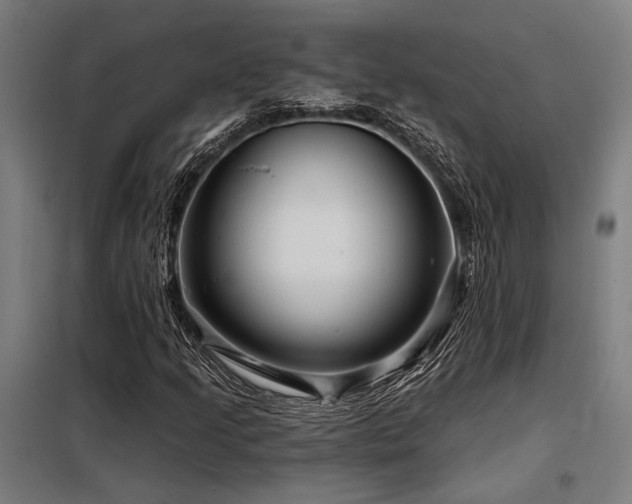 X0000098171205200804241148