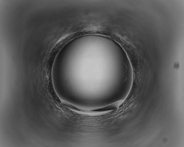 X0000098171206200804241148