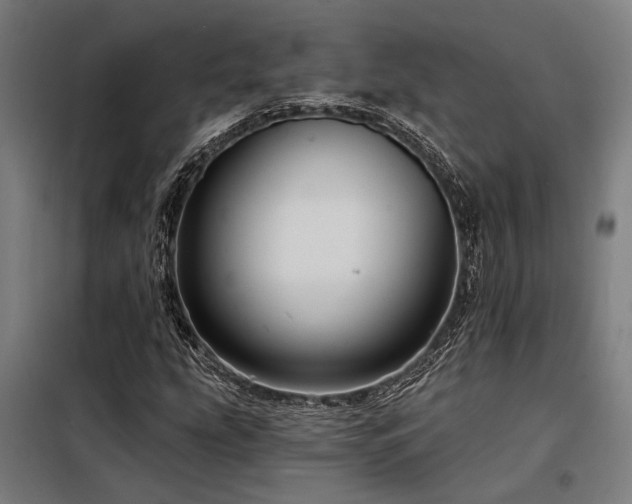 X0000098171207200804241148