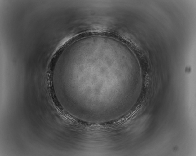 X0000098171208200804241148