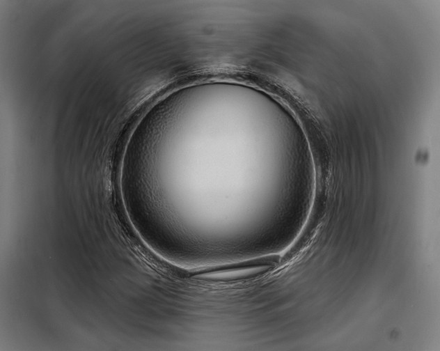 X0000098171209200804241148