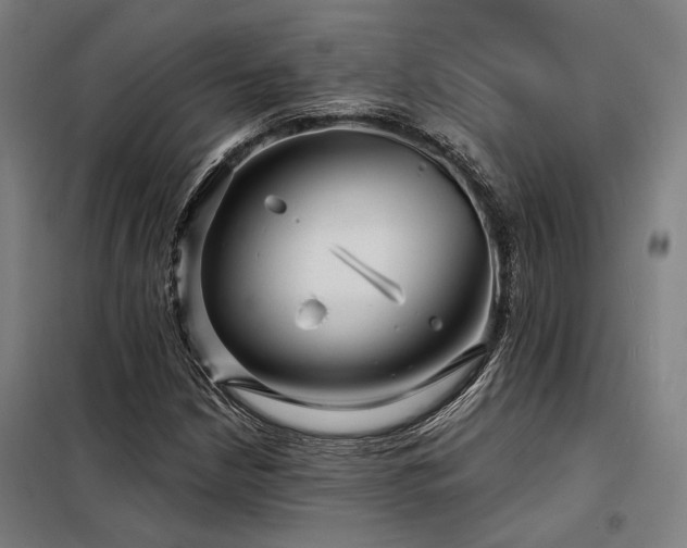 X0000098171210200804241148