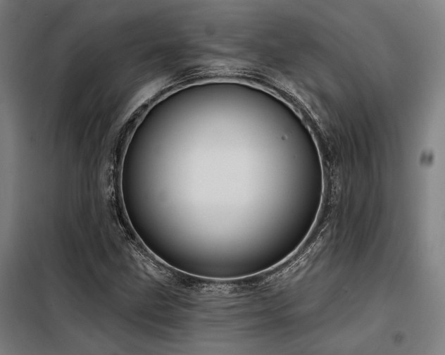 X0000098171211200804241148