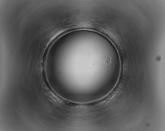 X0000098171212200804241148