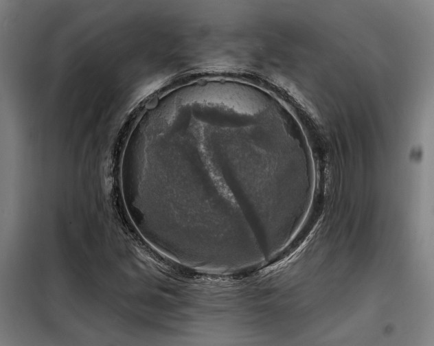 X0000098171213200804241148