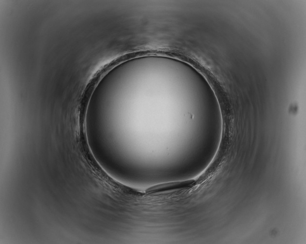 X0000098171214200804241148