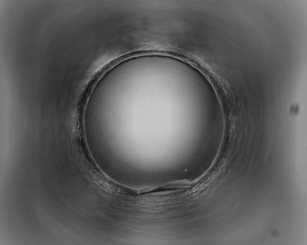 X0000098171215200804241148